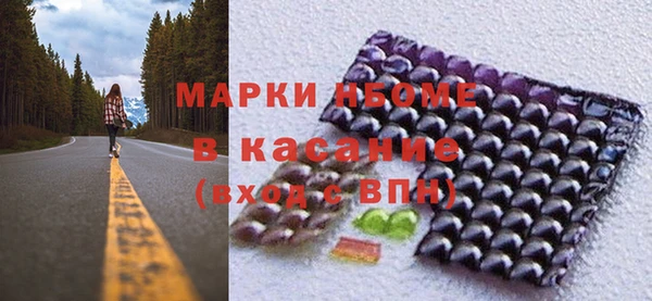 шишки Переславль-Залесский