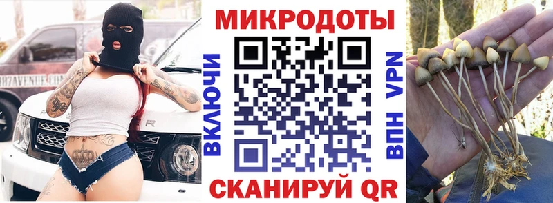 Псилоцибиновые грибы MAGIC MUSHROOMS Чапаевск