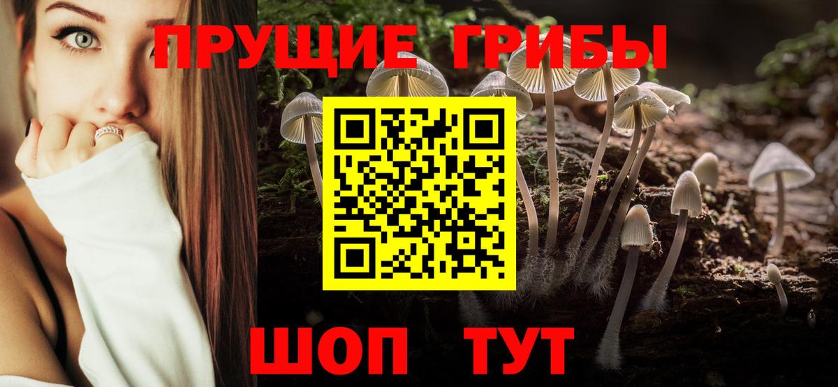 Галлюциногенные грибы мухоморы  Вход с VPN  Чапаевск 