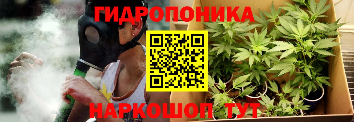 Канабис Amnesia  Вход с VPN  Бошки марихуана план  Чапаевск 